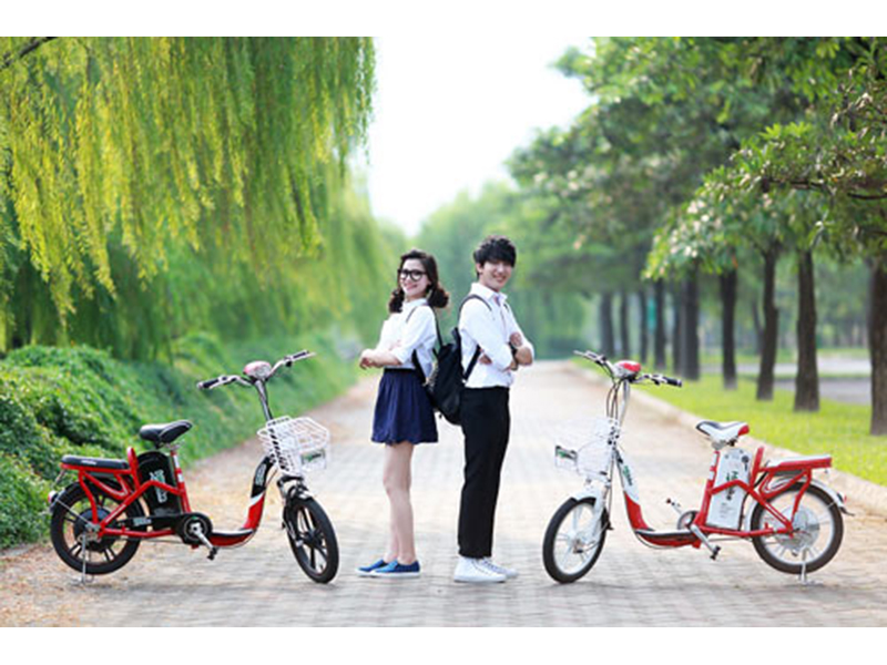 Xe đạp điện Hkbike tại Bắc Giang 