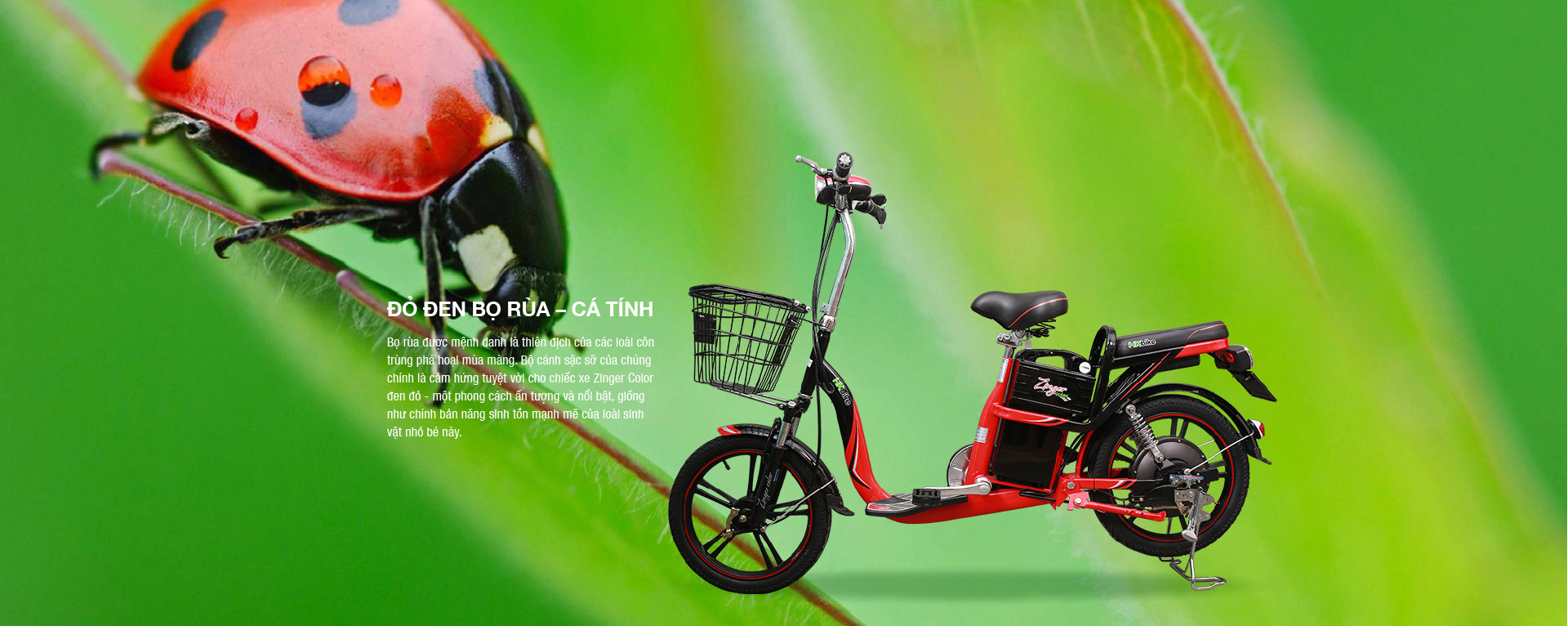Xe đạp điện Hkbike Zinger Color 