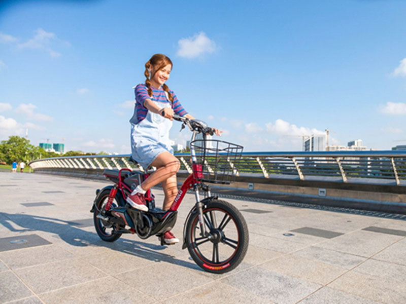 Xe đạp điện Hola tại Bình Phước 
