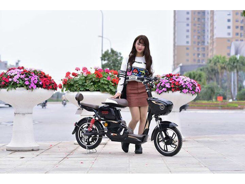 Xe đạp điện Honda nhập khẩu Thanh Xuân 