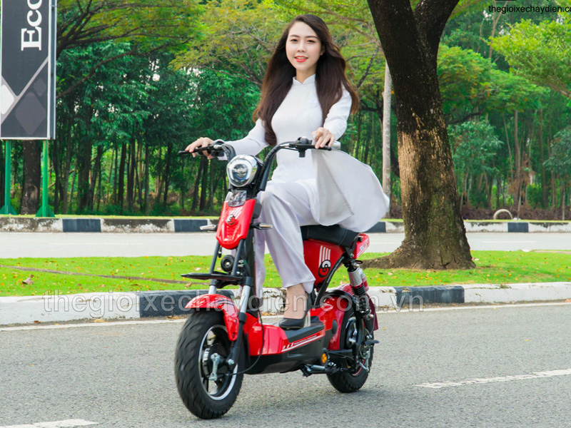 Xe đạp điện là gì? Phân biệt xe đạp điện và xe máy điện