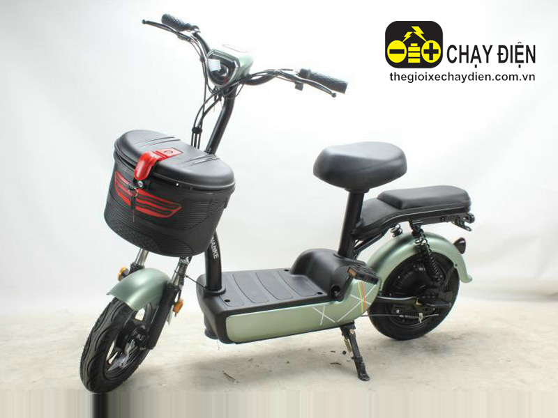 Xe đạp điện cho mẹ và bé Lihaze 3 yên ghế tải tối đa 150 ký