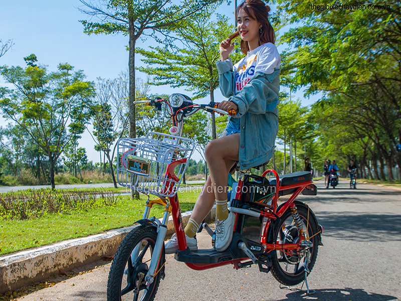 Xe đạp điện Ngọc Hà nhập khẩu Hoàng Mai