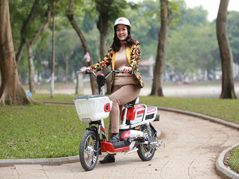 Xe đạp điện nhất định phải có