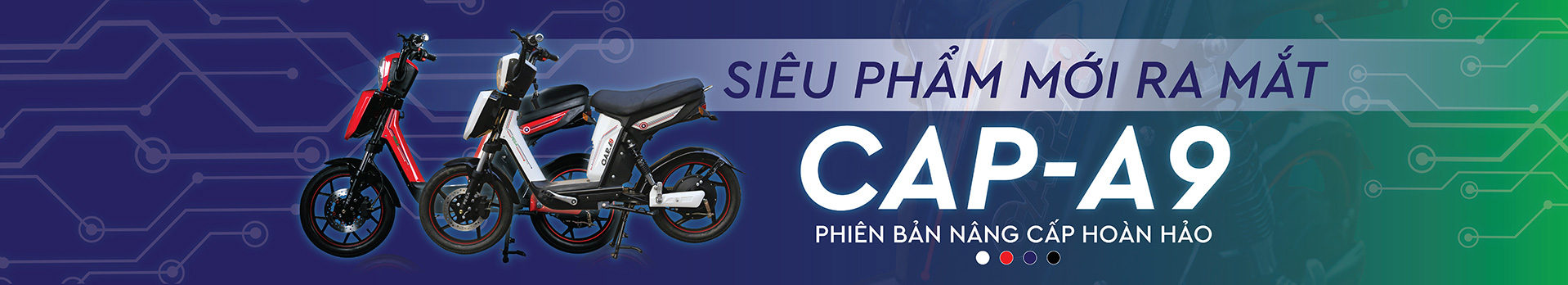 Xe đạp điện Pega Cap A9 