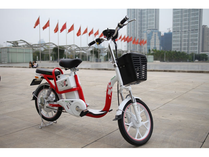 Xe đạp điện Pega nhập khẩu Long Biên 