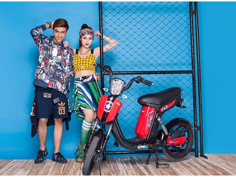 Xe đạp điện pega tại Bắc Giang 