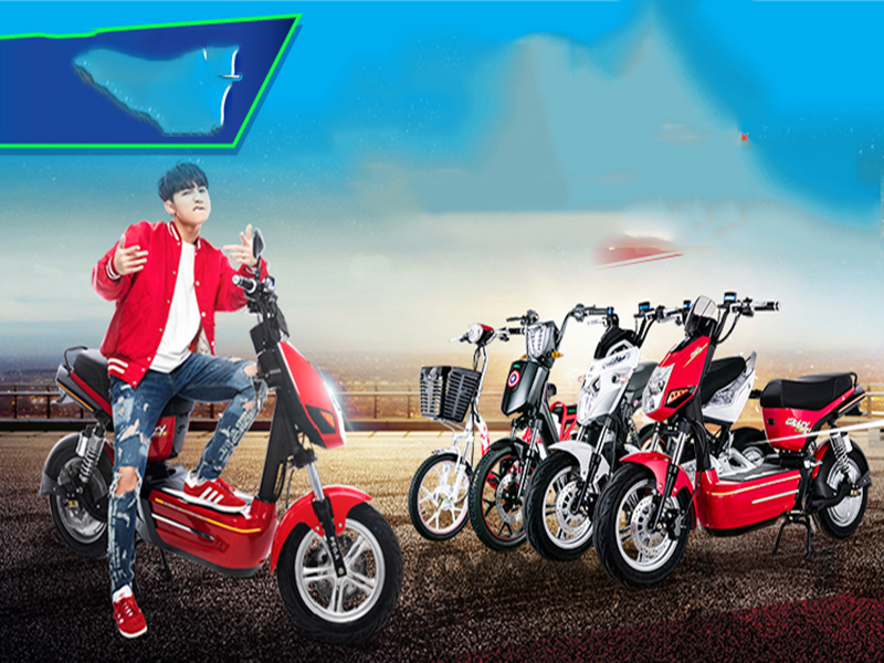 Xe đạp điện pega tại Đồng Tháp