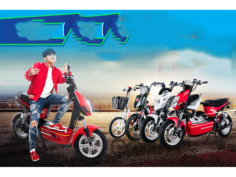 Xe đạp điện pega tại Huế