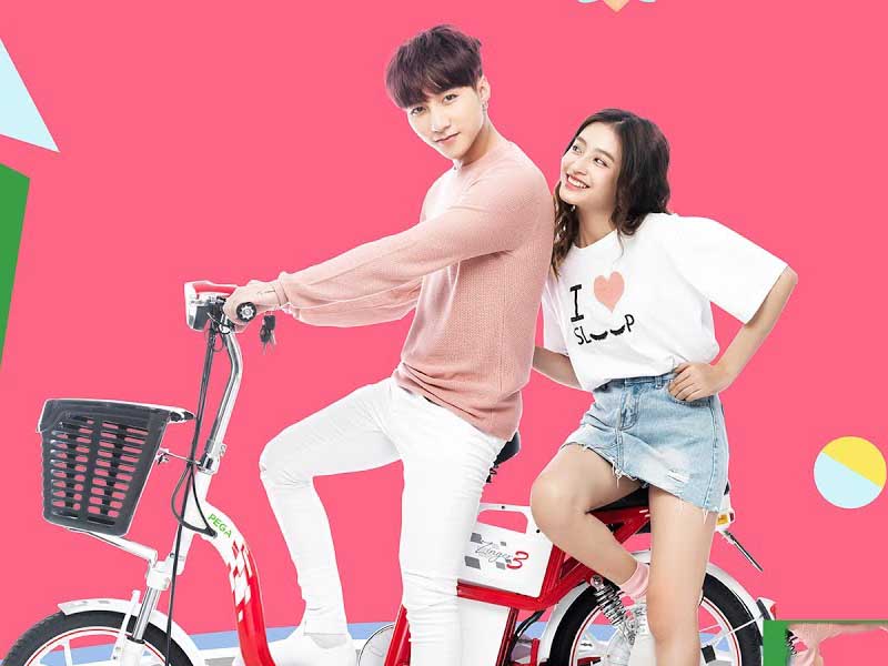 Xe đạp điện pega tại Hưng Yên