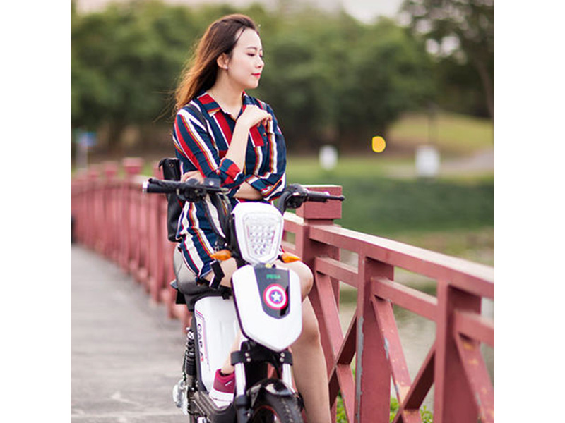 Xe đạp điện pega tại Phú Yên