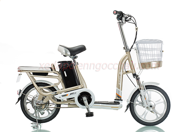 Xe đạp điện rẻ huyện Trảng Bom