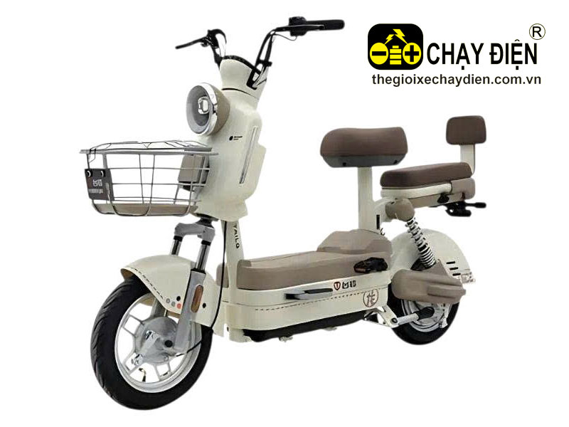 Xe đạp điện TAILG JS32