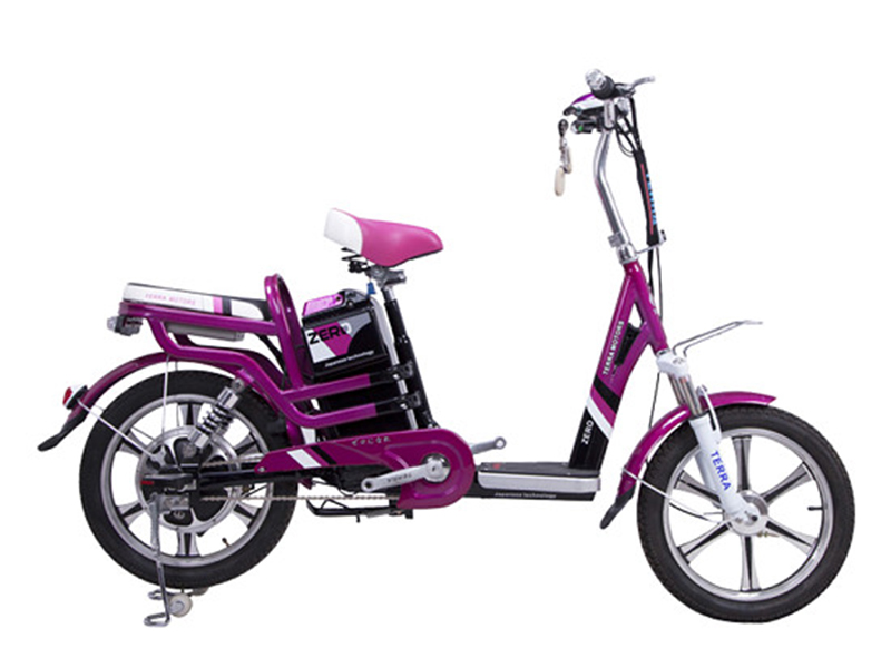 Xe đạp điện Terra Motors nhập khẩu Cầu Giấy 
