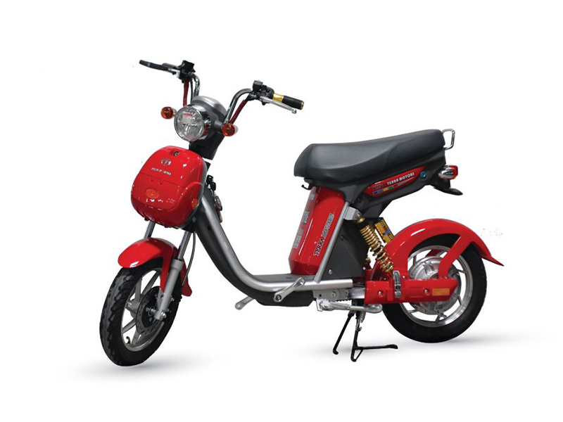 Xe đạp điện Terra Motors tại Hải Phòng 