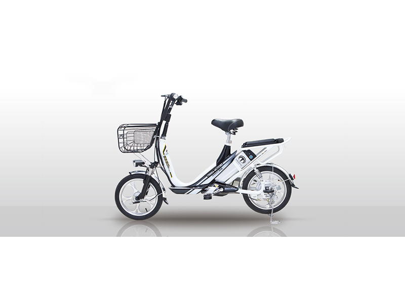 Xe đạp điện Terra Motors tại Hưng Yên