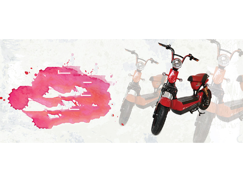 Xe đạp điện Terra Motors tại Lạng Sơn