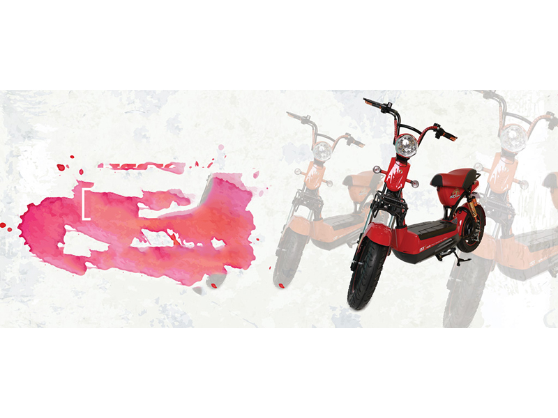 Xe đạp điện Terra Motors tại Thái Bình