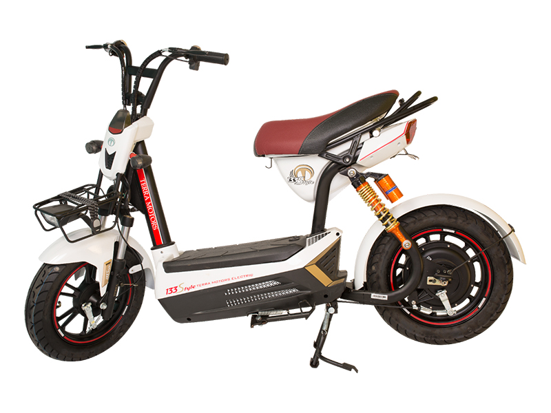 Xe đạp điện Terra Motors tại Thái Nguyên