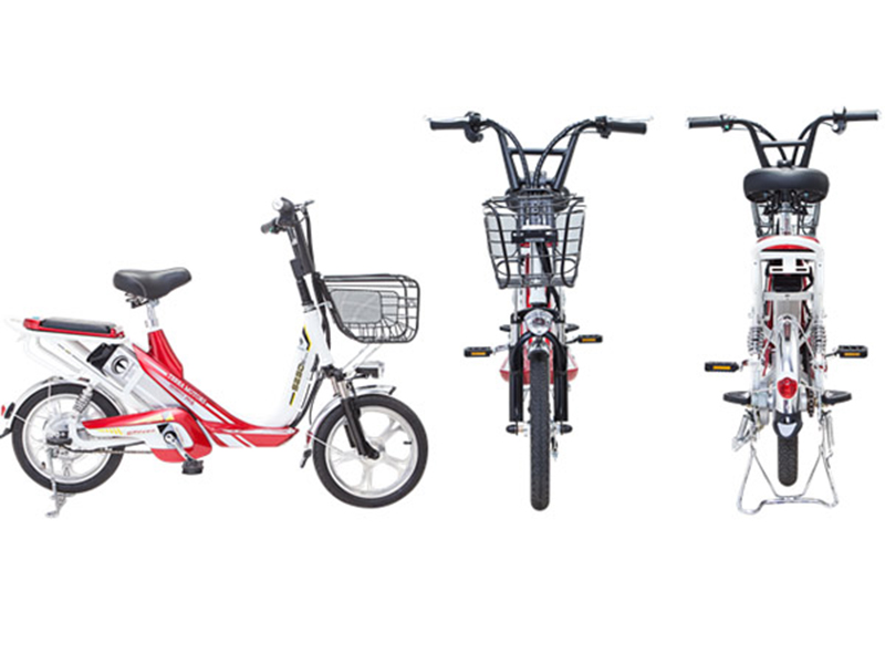Xe đạp điện Terra Motors tại Vĩnh Phúc