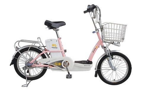 Xe đạp điện tốt nhất tại Việt Nam