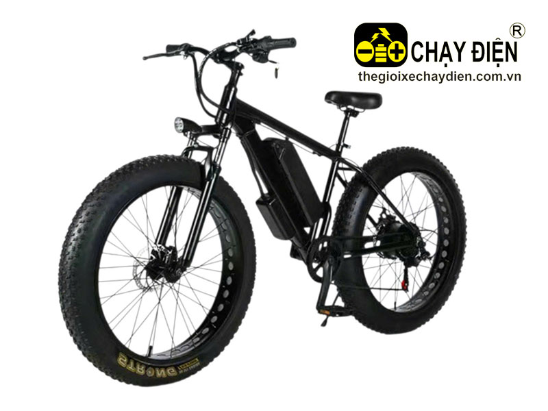 Xe đạp điện trợ lực bánh béo Smart B2