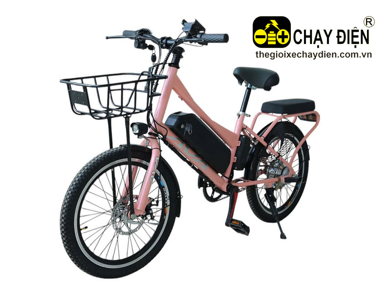 Xe đạp điện trợ lực Vnbike XM 20inch