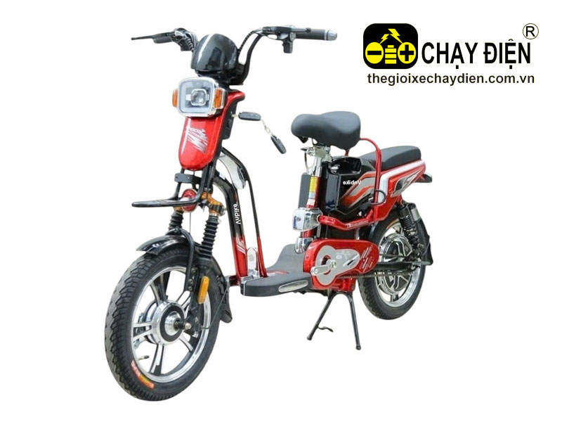 Xe đạp điện Vnbike j2