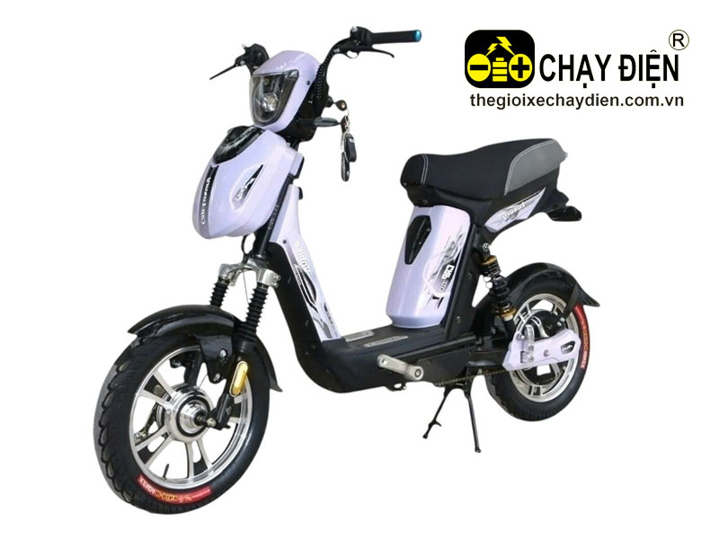 Xe đạp điện Vnbike X8