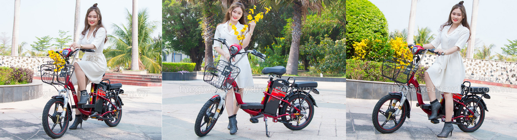 Xe đạp điện Vnbike 