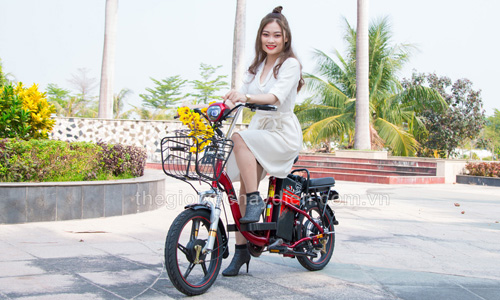 Xe đạp điện Vnbike