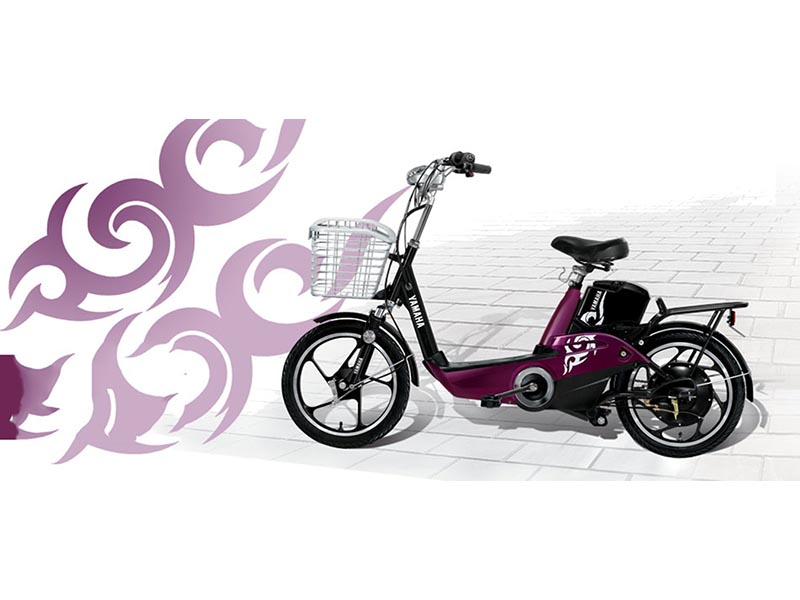 Xe đạp điện Yamaha tại An Giang 