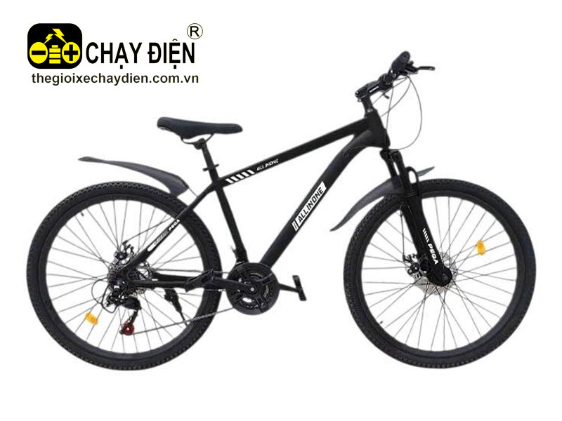 Xe đạp Pega ALL IN ONE