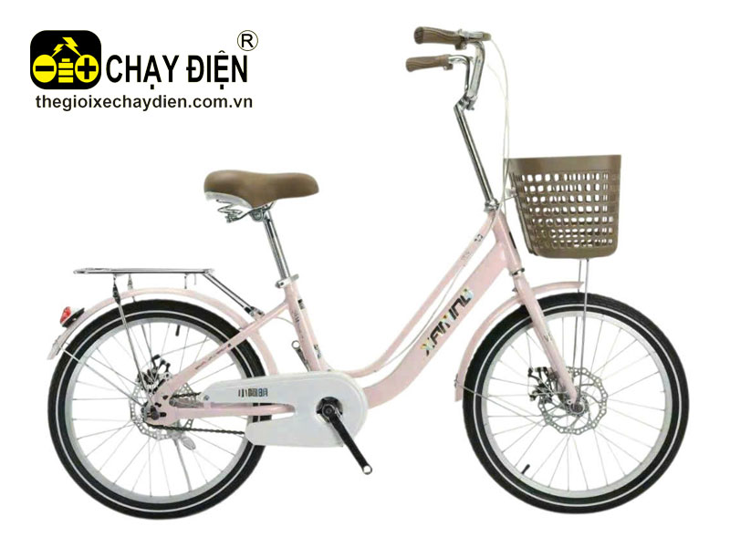 Xe đạp Smart HS