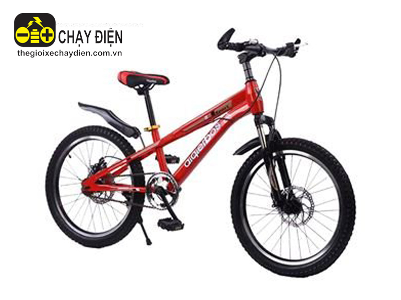 Xe đạp trẻ em 20inch JBDS20