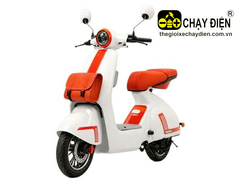 Xe điện Aimia VP966