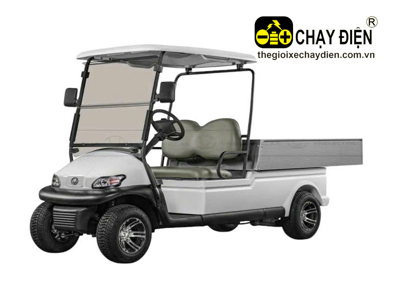 Xe điện chở hàng VNECAR A1S4+2H, 2 chỗ, thùng hở 500kg