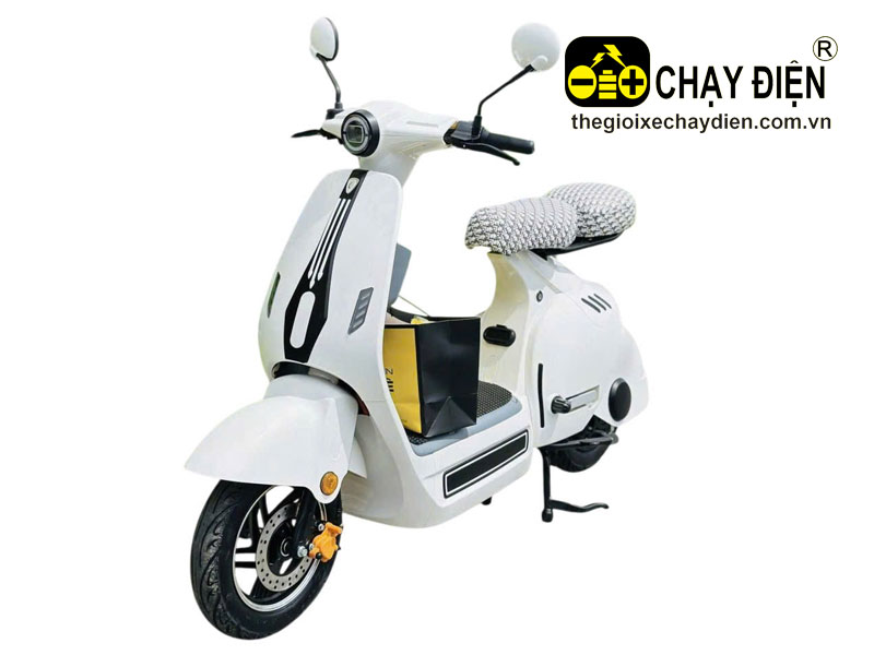 Xe điện Dylexe D1