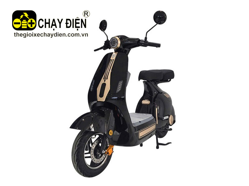 Xe điện Dylexe D1