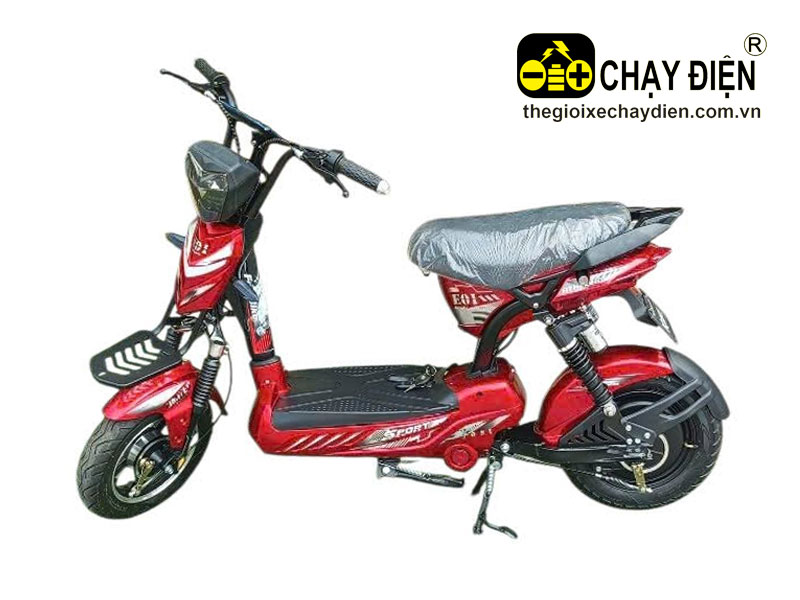 Xe điện Fuji Bike E01