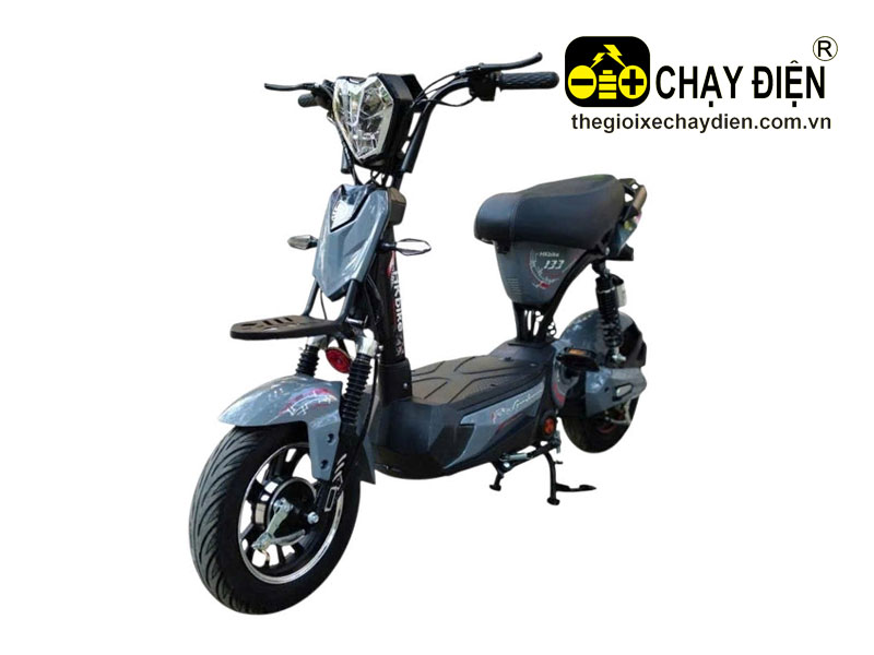 Xe điện Hkbike 133
