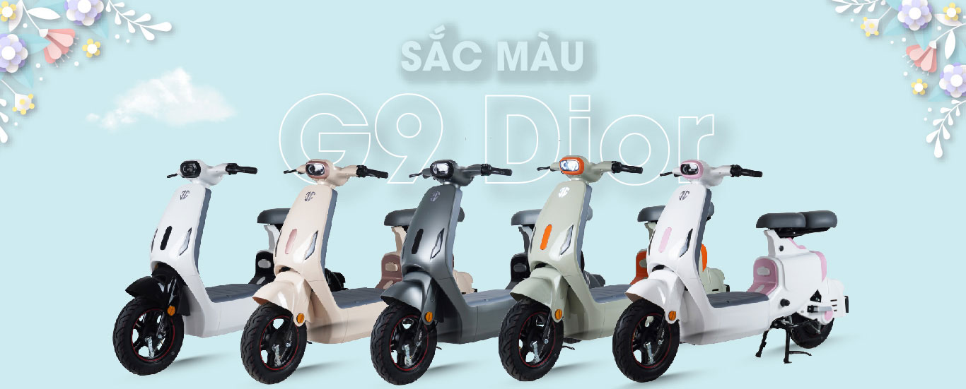 Xe điện JVC G9 Dior 