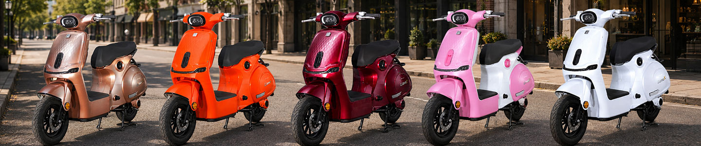 Xe điện LunaX