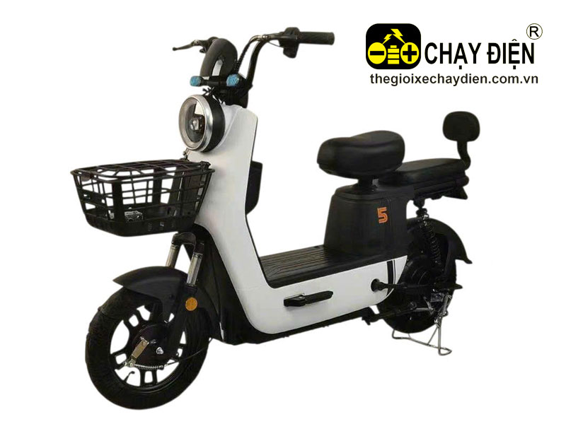Xe điện MI D5