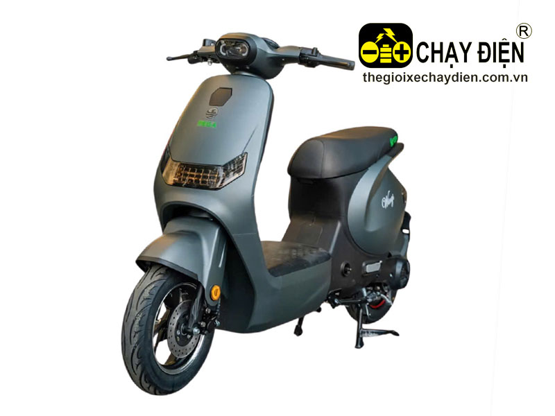 Xe điện Pega Wings