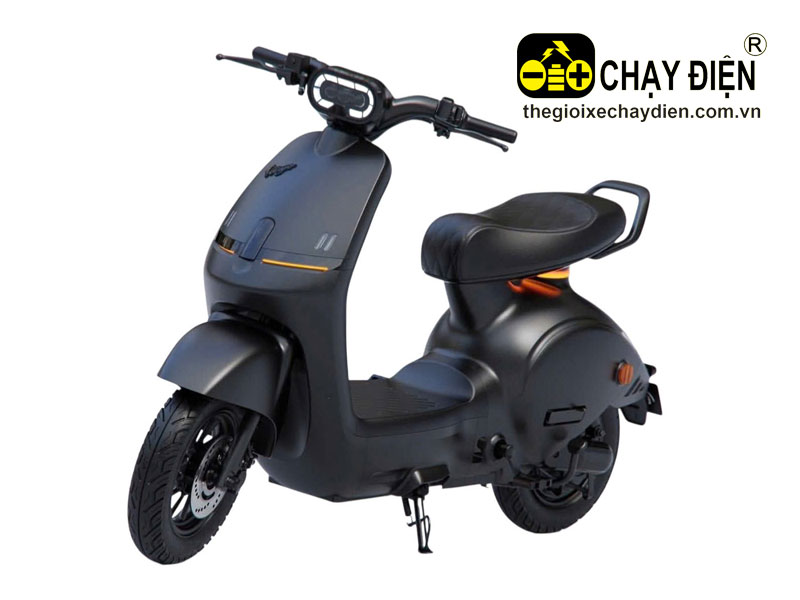 Xe điện Q Motor A11