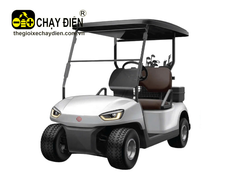 Xe điện sân Golf  2 chỗ ngồi THDT2