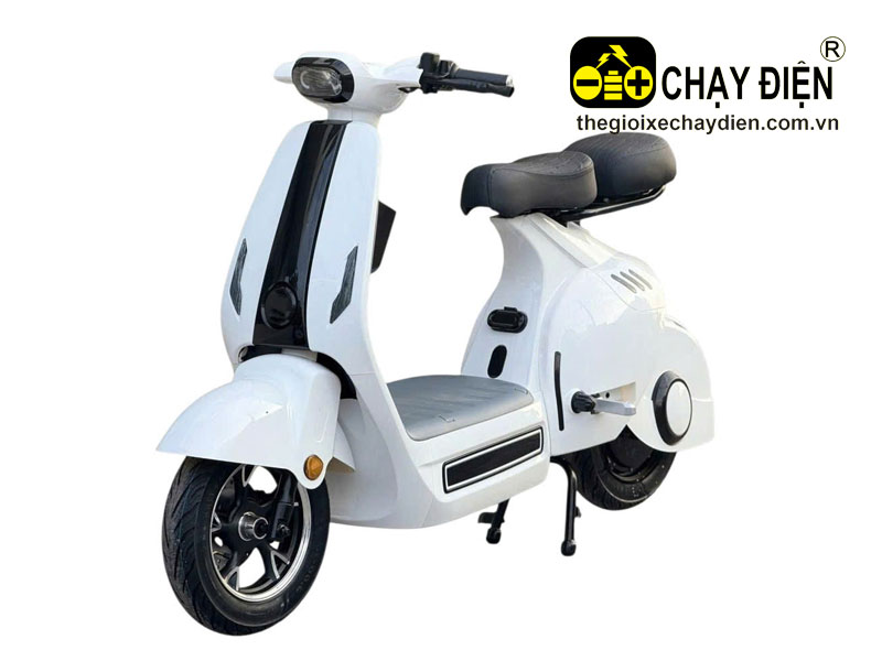 Xe điện Smart V1 Plus