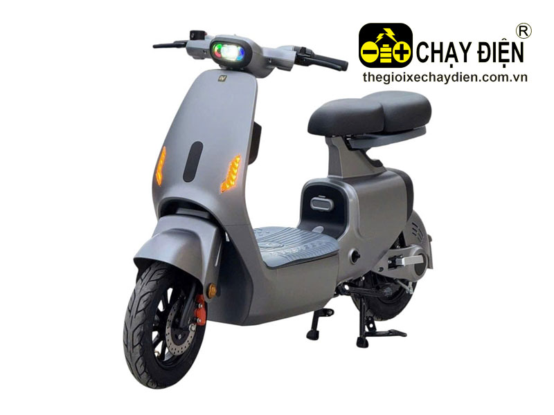 Xe điện V1 Plus