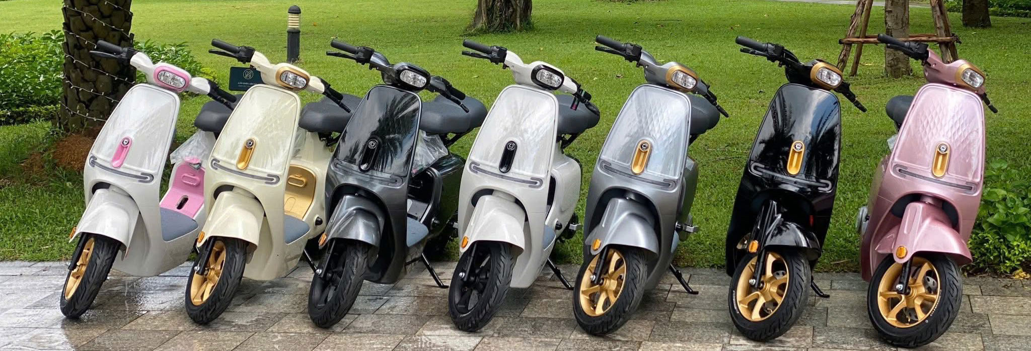Xe điện VC Pro 